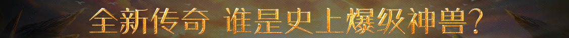 金海岸網